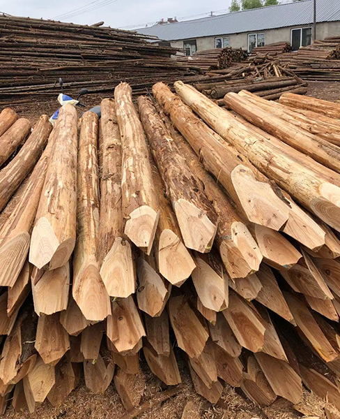 深耕行業，匠心為本 樂業木業杉木樁與鑿巖釬具的品質之路